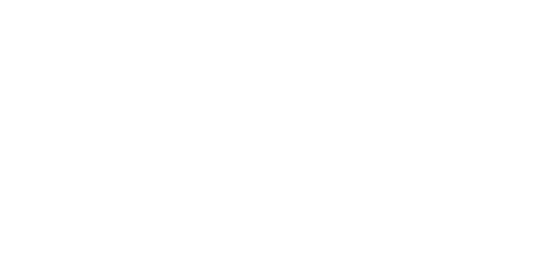 logo_light